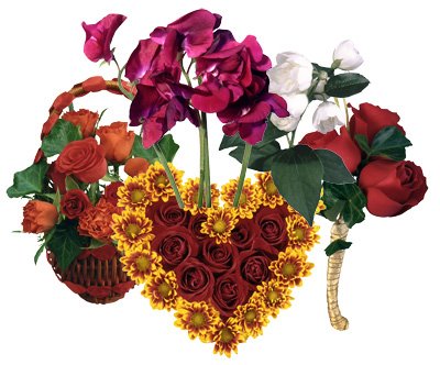 [IzoSoftVol18-ValentinesDay-70.jpg]