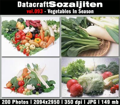 [Datacraft-Vol.093.jpg]