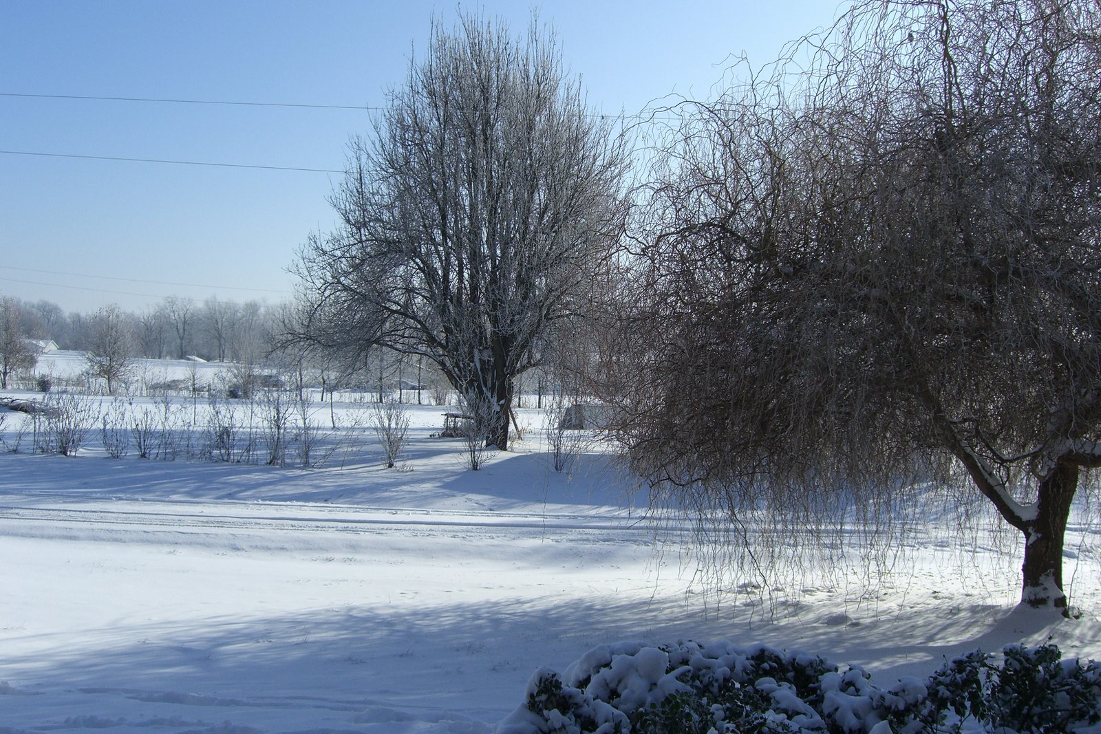 [Dec+17+2007+002.JPG]