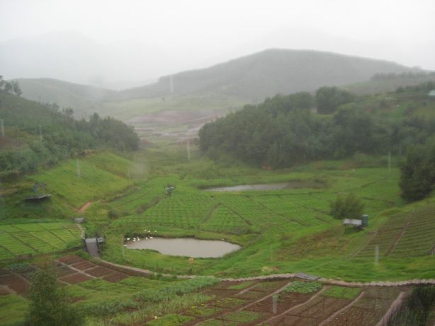 Destiny Ooty