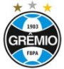 Grêmio Foot-Ball Porto Alegrense