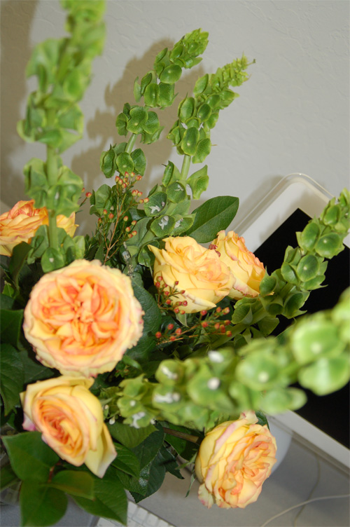 [flowers.jpg]