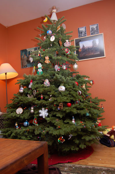 [tree.jpg]