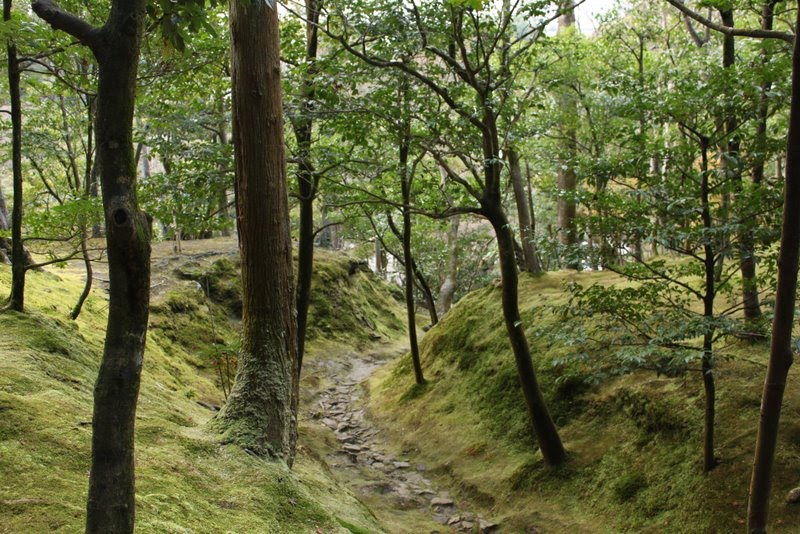 Mike Jutan's World: Japan/SoKor Day 14: Kyoto Day 1