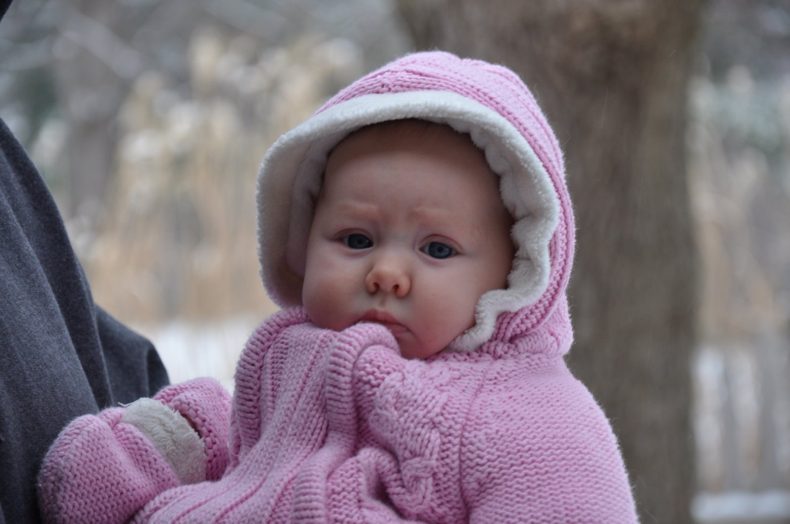 [DSC_0057.JPG]