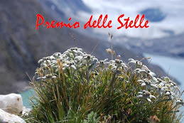 Premio delle Stelle