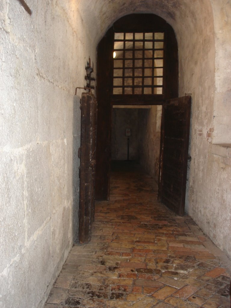 [DSC173s.JPG]