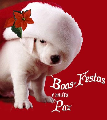 [boas-festas.jpg]