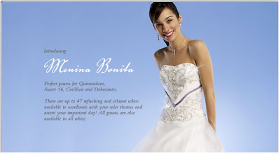 Quinceanera Dresses Design Photos In 2010