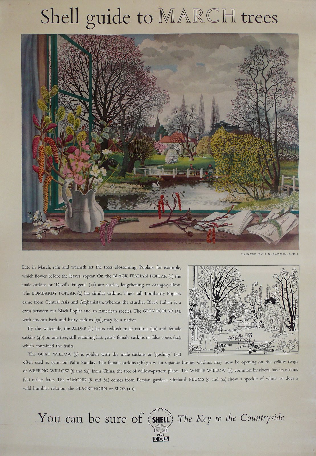 [Blog+Shell+Poster.jpg]