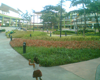 the terraces ayala