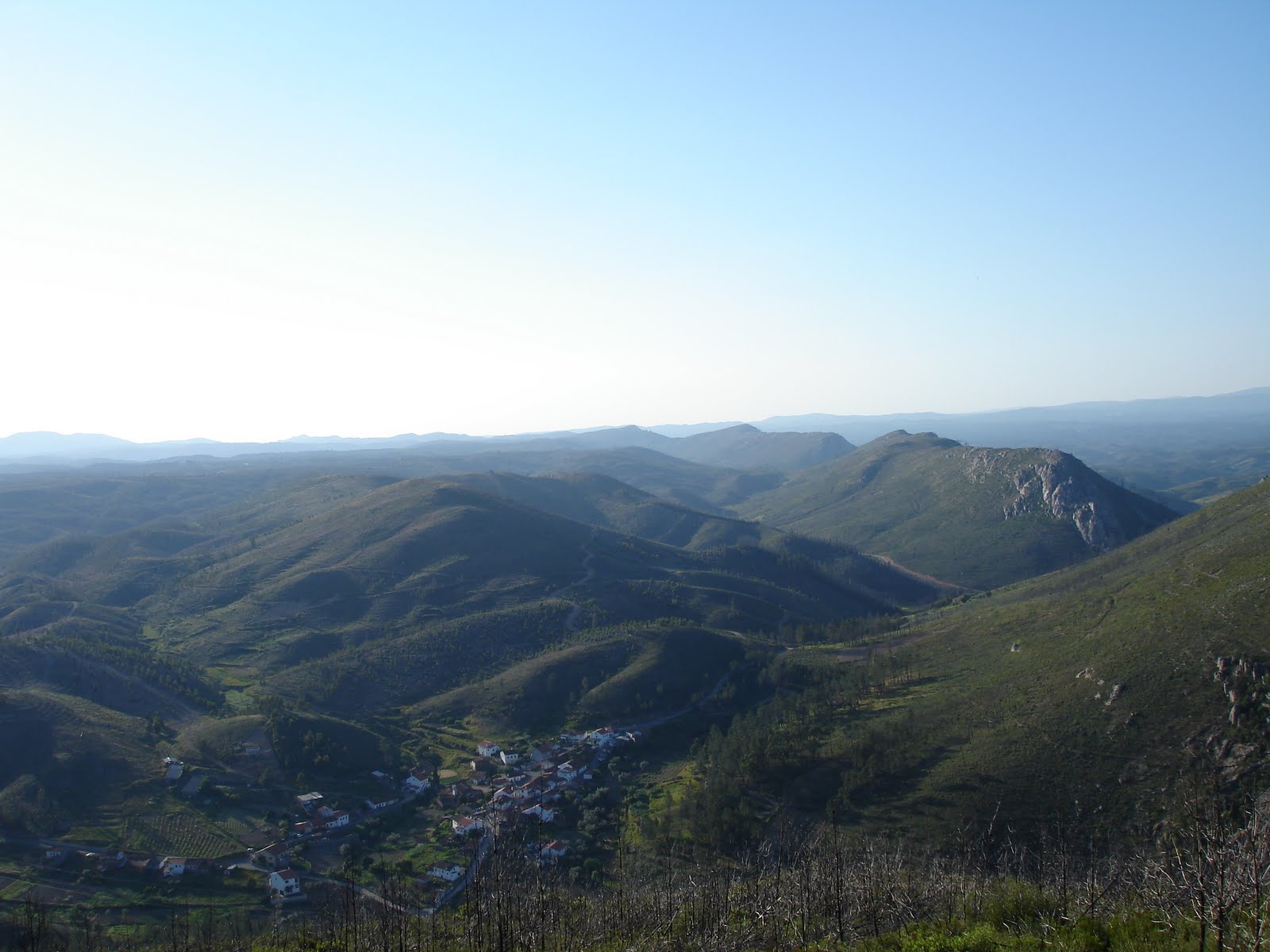 [DSC00401.JPG]