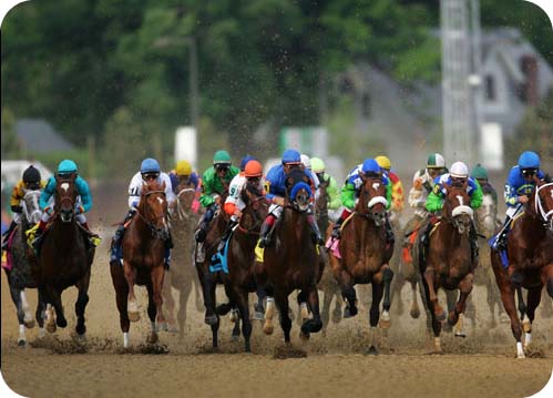 2010 Kentucky Derby Picks Now naturally, we're utilizing the bet small win