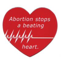 anti-abortion