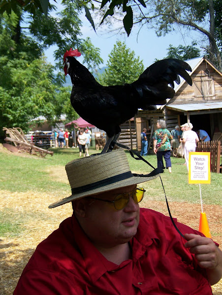 David Friedly allows the rooster to stand on his head