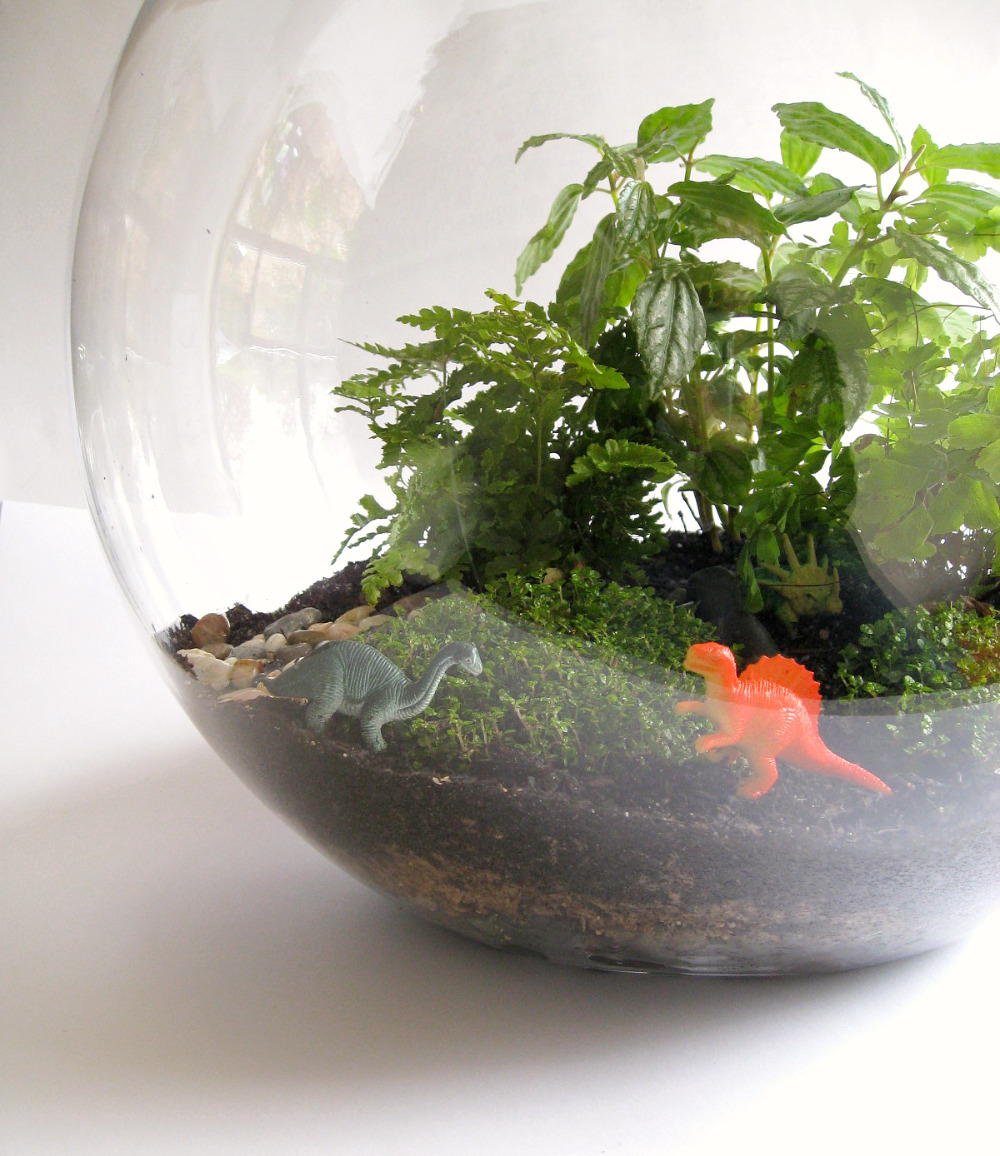 terradctl canberra times readers!