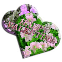 Valentine's Image