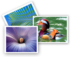 Foto-foto Gratis Image Gratis