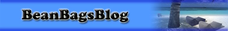 BEAN BAGS BLOG