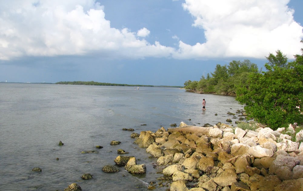 Dixie Highway: Shelling at Sunshine Skyway Bridge Rest Area