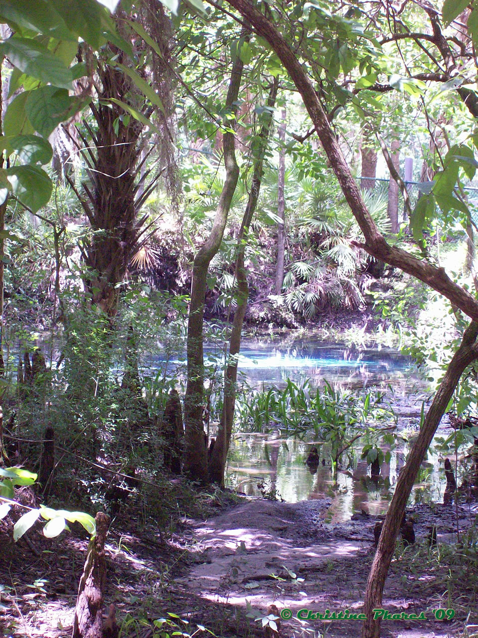 Dixie Highway Swimming at Lithia Springs, Florida