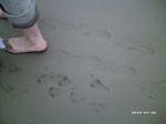 Footprints