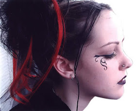 Siotwininid Crazy Lady Gaga Hairstyles
