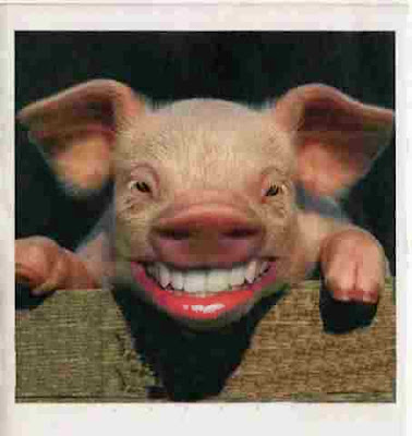 pig-lipstick.jpg