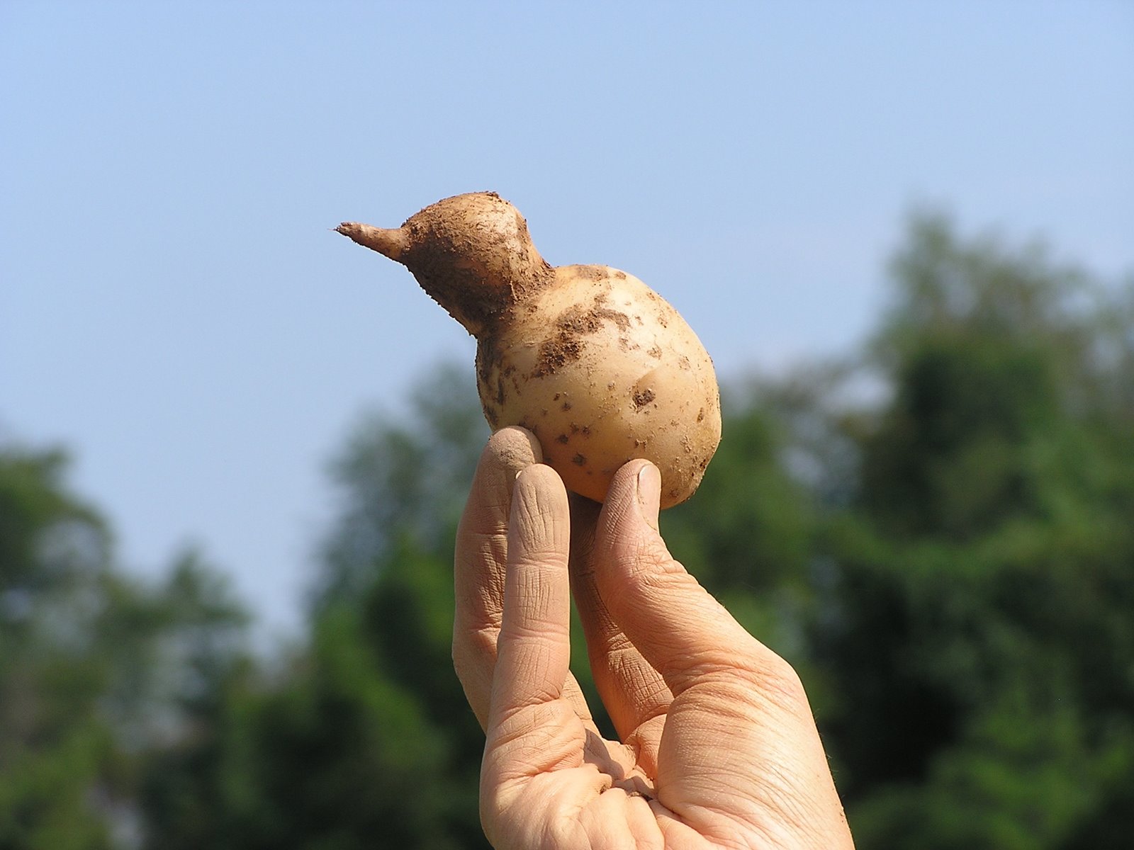 [P1100011.JPG]