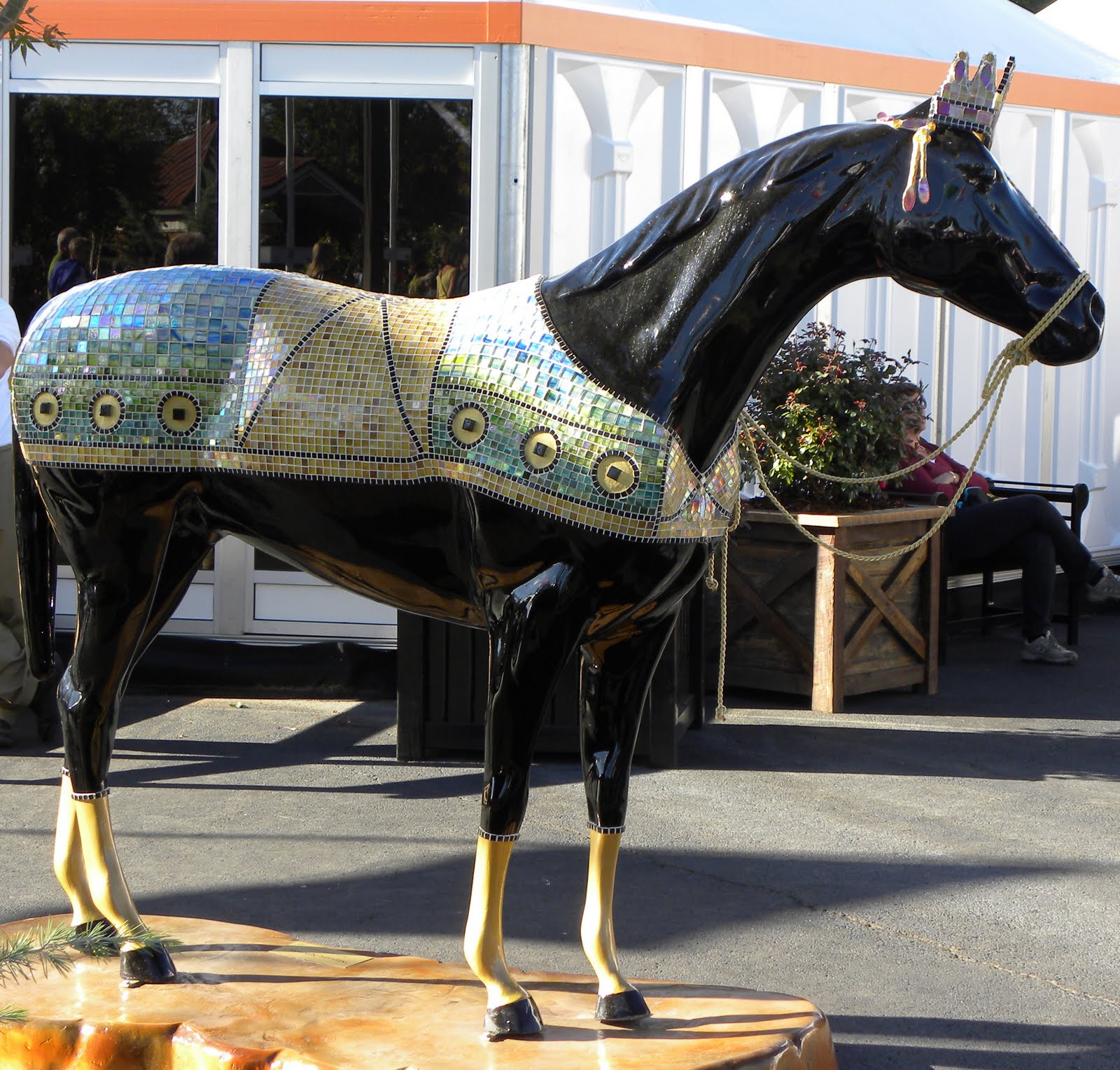 Ramblings from Fink Family Farm Painted Horses in Lexington