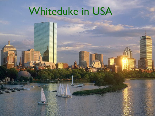 Whiteduke in USA