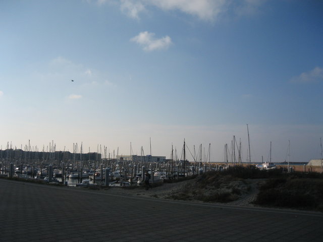 [IMG_3147.JPG]