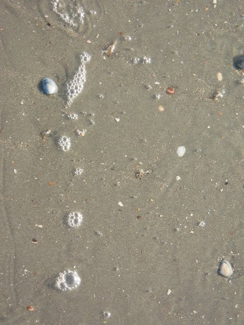 [IMG_3155.JPG]