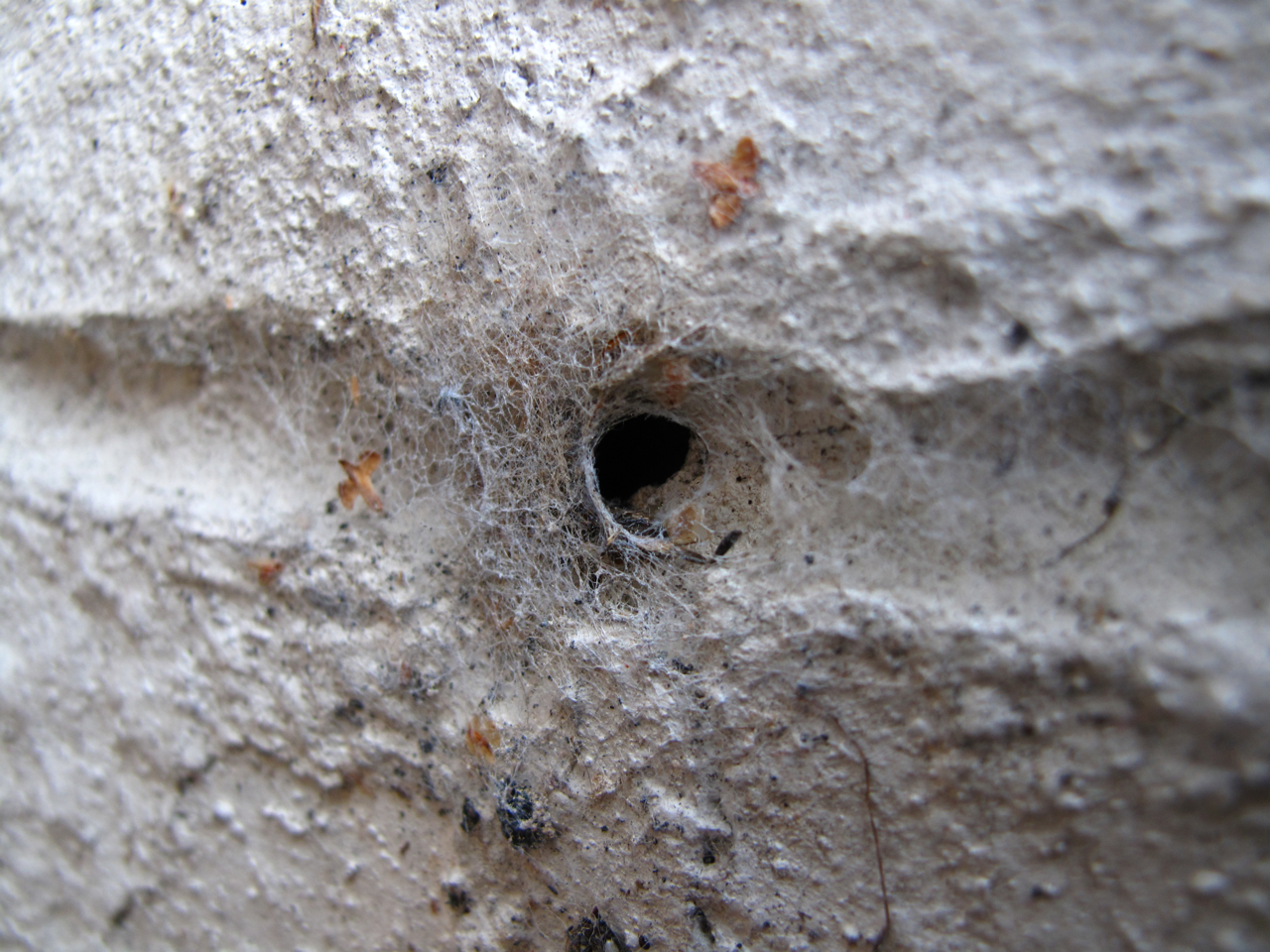 Jestine's kitchen food network, over the garden wall quotes, garden