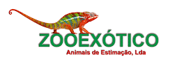 loja de animais exoticos