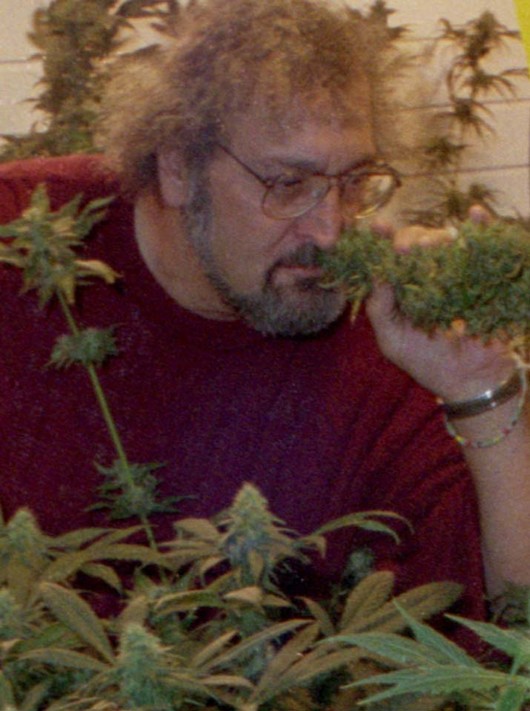 Freedom of Medicine and Diet Jack Herer Dies