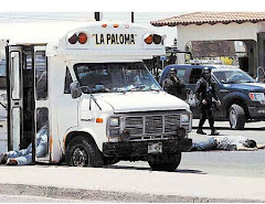 La Paloma (Dove) Is A Symbol of Peace