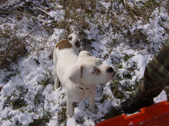 my buddy