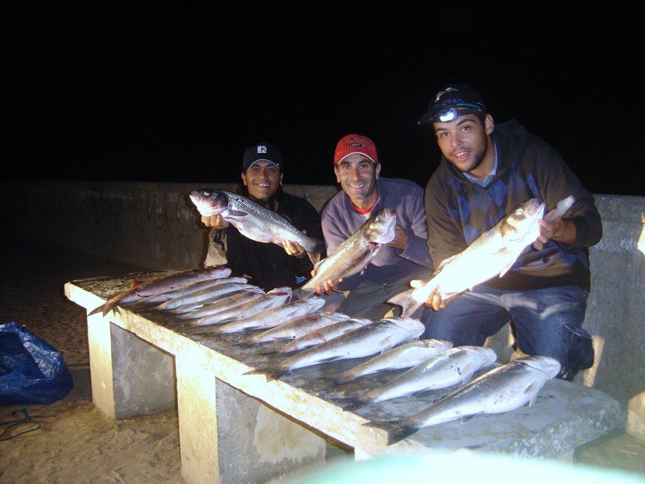 [DSC02414.JPG]
