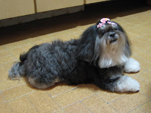 Meg e seu chanel