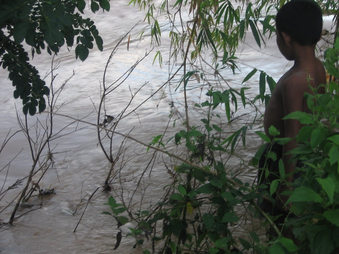 Kids fishing with bamboo poles