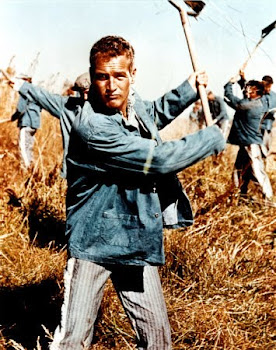 COOL HAND LUKE