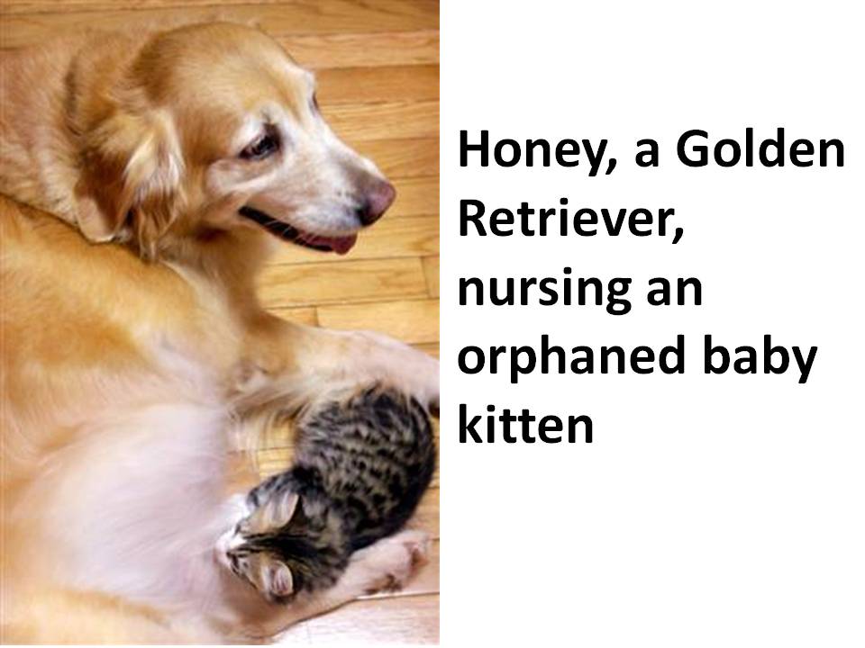 [Slide4.JPG]