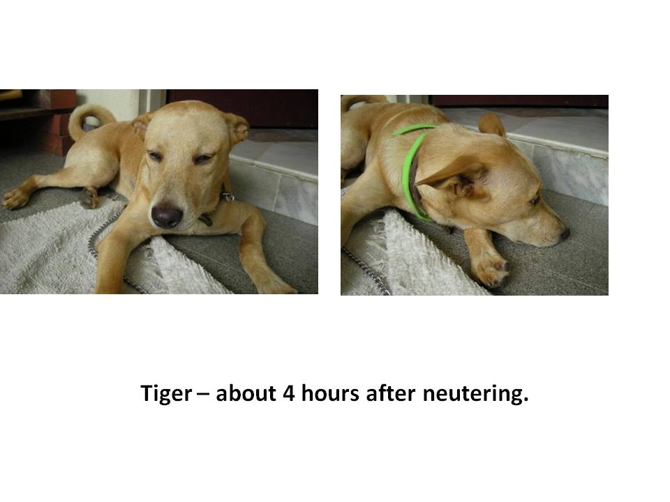 [Slide1.JPG]