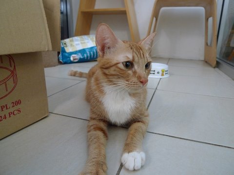 [P1070114.JPG]