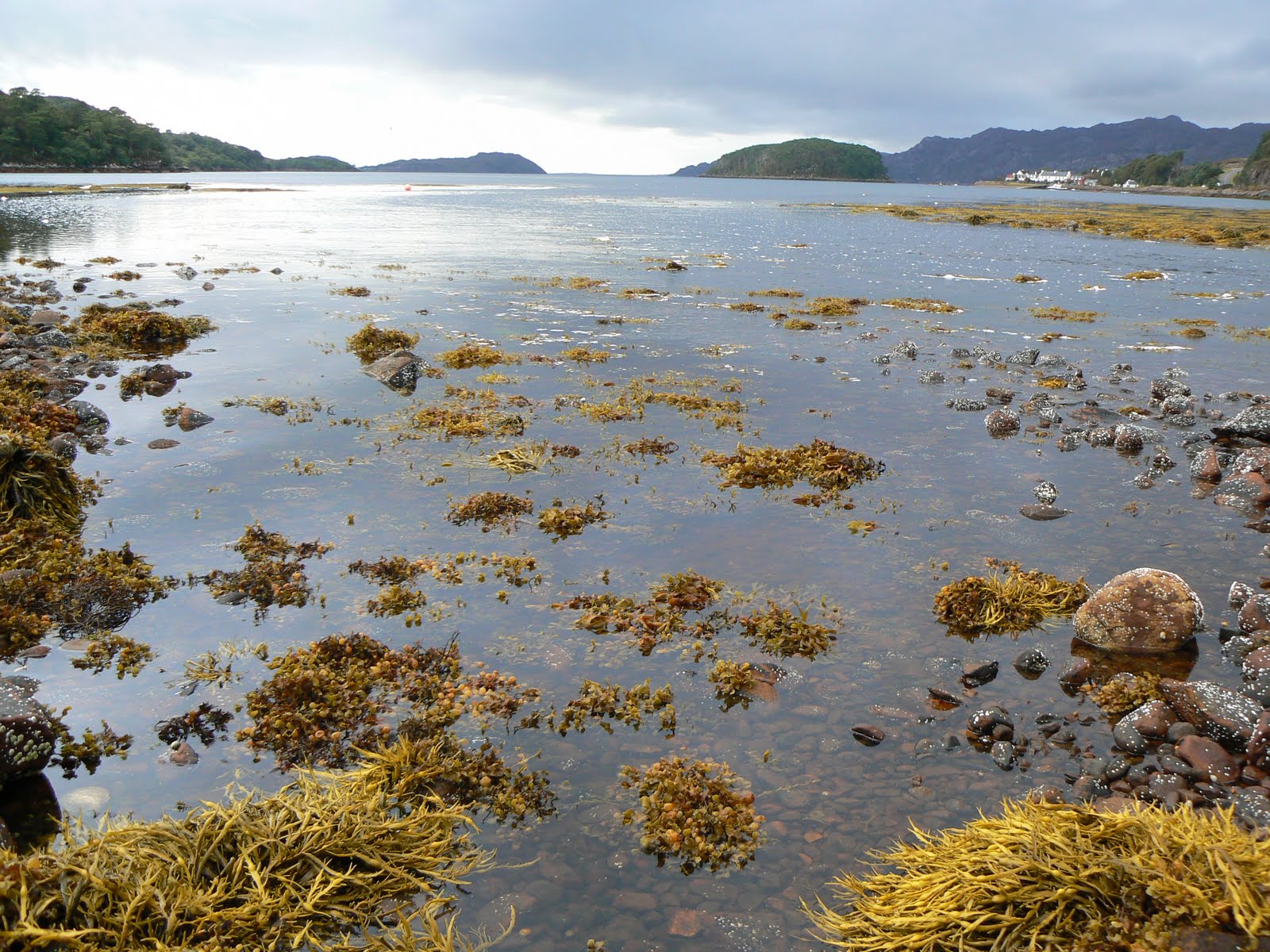 Yukiguni: scottish landscapes (1)