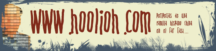 www.hoolioh.com