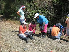 Encuentro ambiental