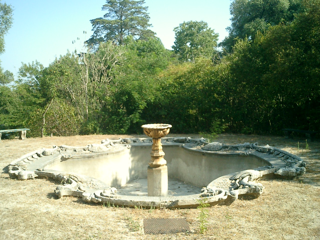[CIMG0171.JPG]