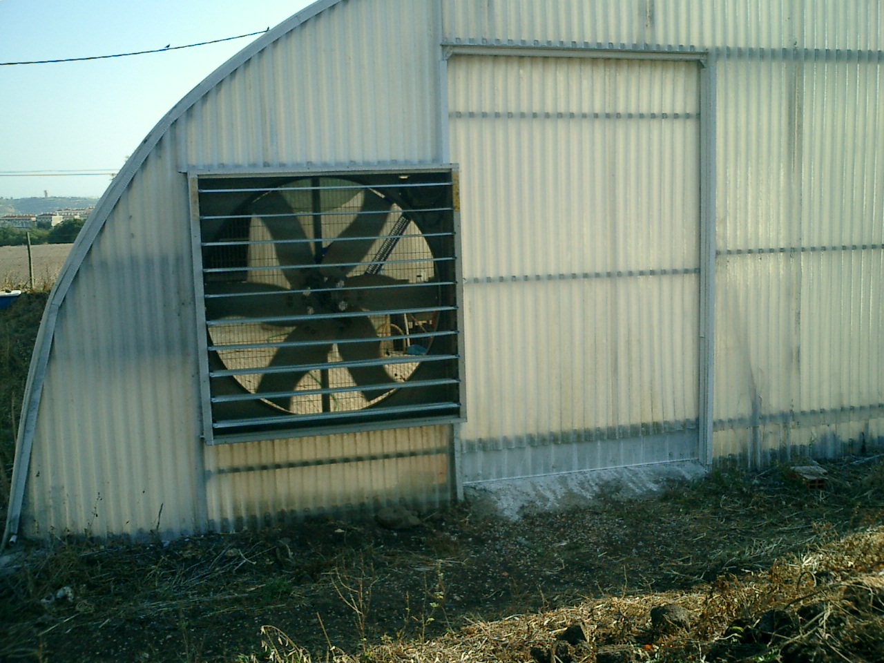 [CIMG0211.JPG]